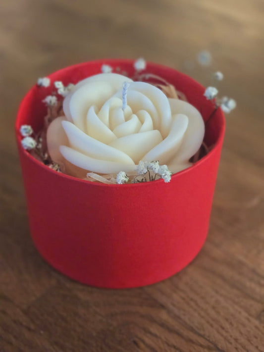 Rosenkerze in Box